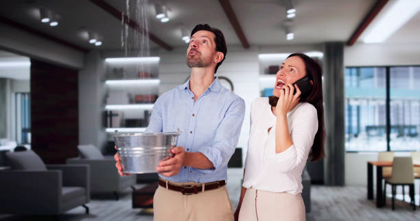 Best Water damage cleanup near me  in USA